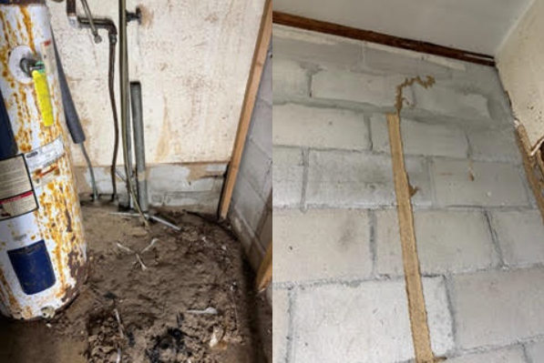 Pictures of subterranean termite damage and mud tubes they build